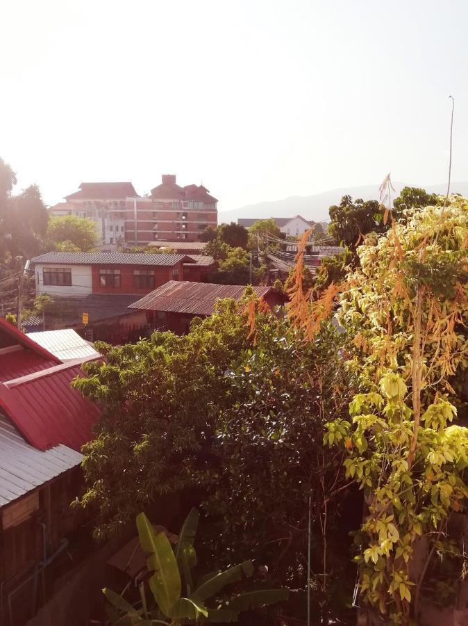 Nhà khách Mandala House, 3*